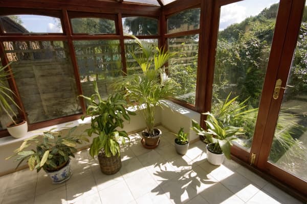 Wintergarten mit Pflanzen