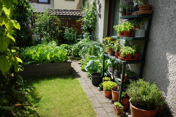 Ein kleiner Garten mit einem Hochbeet und Pflanzenregalen.