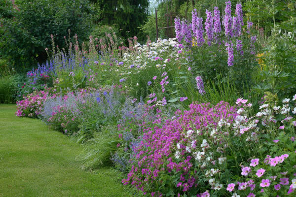 Ein Beet im Garten mit vielen Stauden.