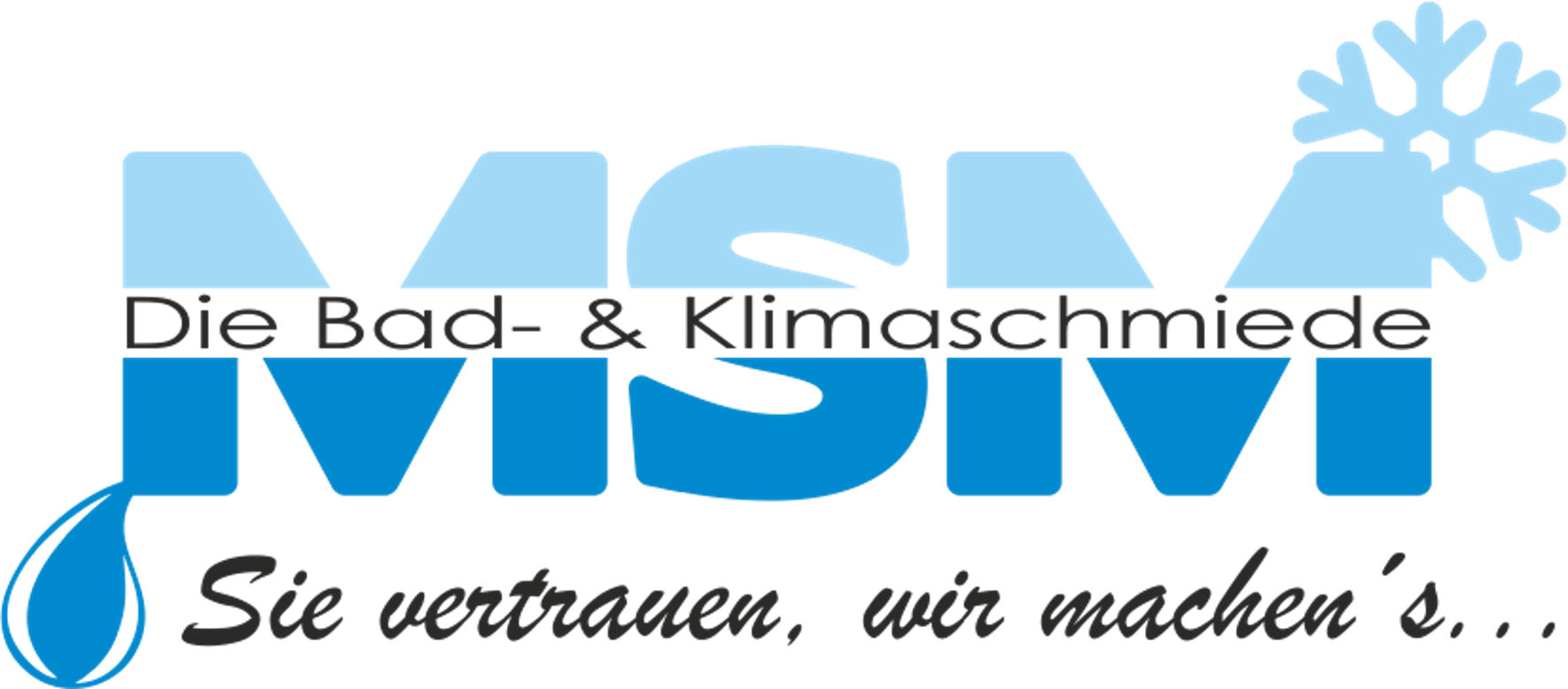 Logo von MSM-Montage Service