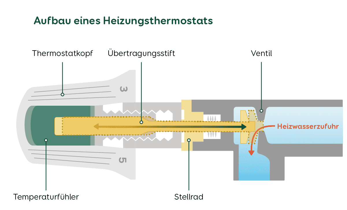 Heizung Thermostat Aufbau