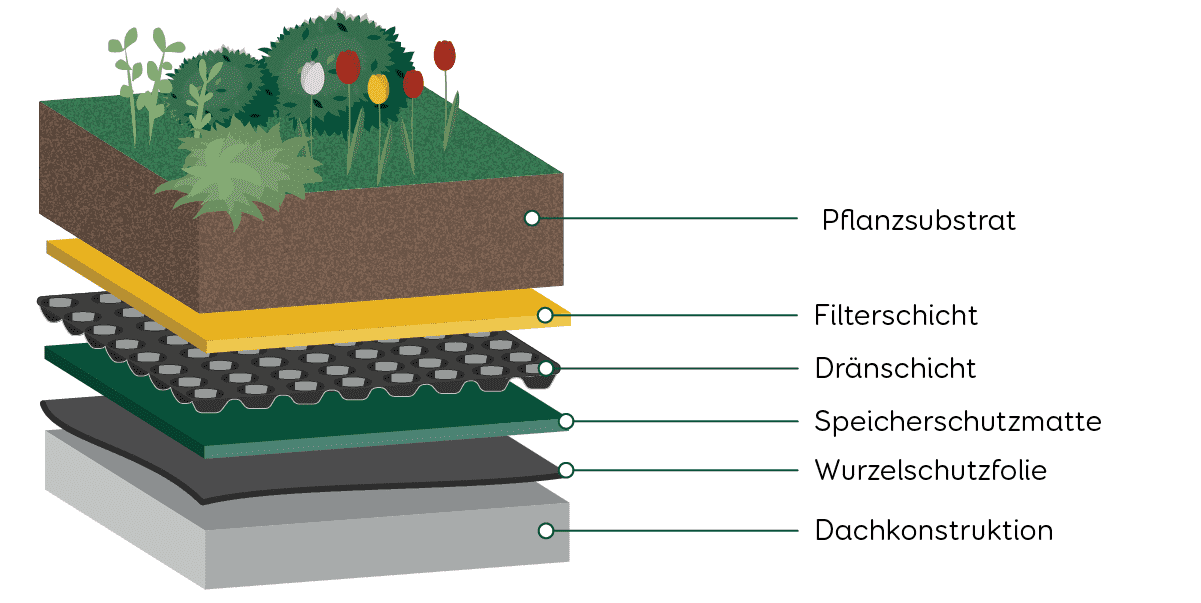 Dach Dachbegrünung Aufbau