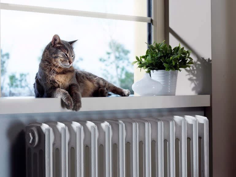 weißer Wandheizkörper unter Fensterbank