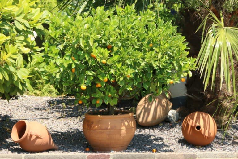 Mediterraner Garten mit Terracotta-Elementen und exotischen Pflanzen.