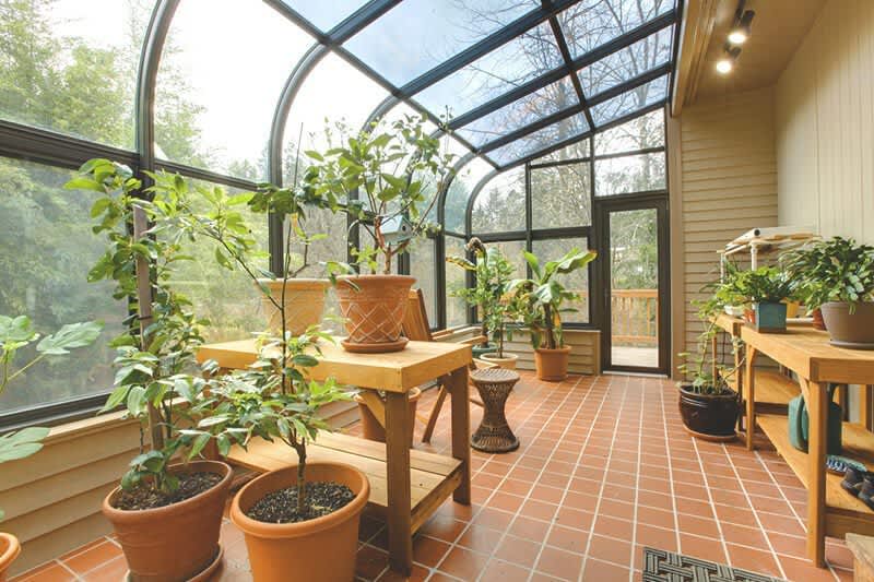 Pflanzen in einem kalten Wintergarten