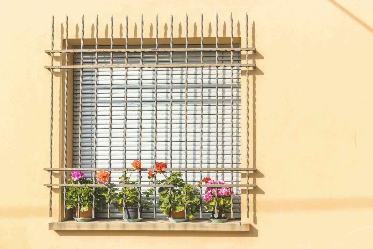 Fenster mit Fenstergitter und Blumen