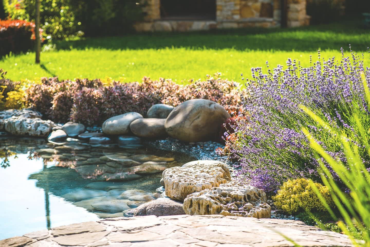 Teich mit Steinen in verschiedenen Größen am Rand in einem gepflegten Garten