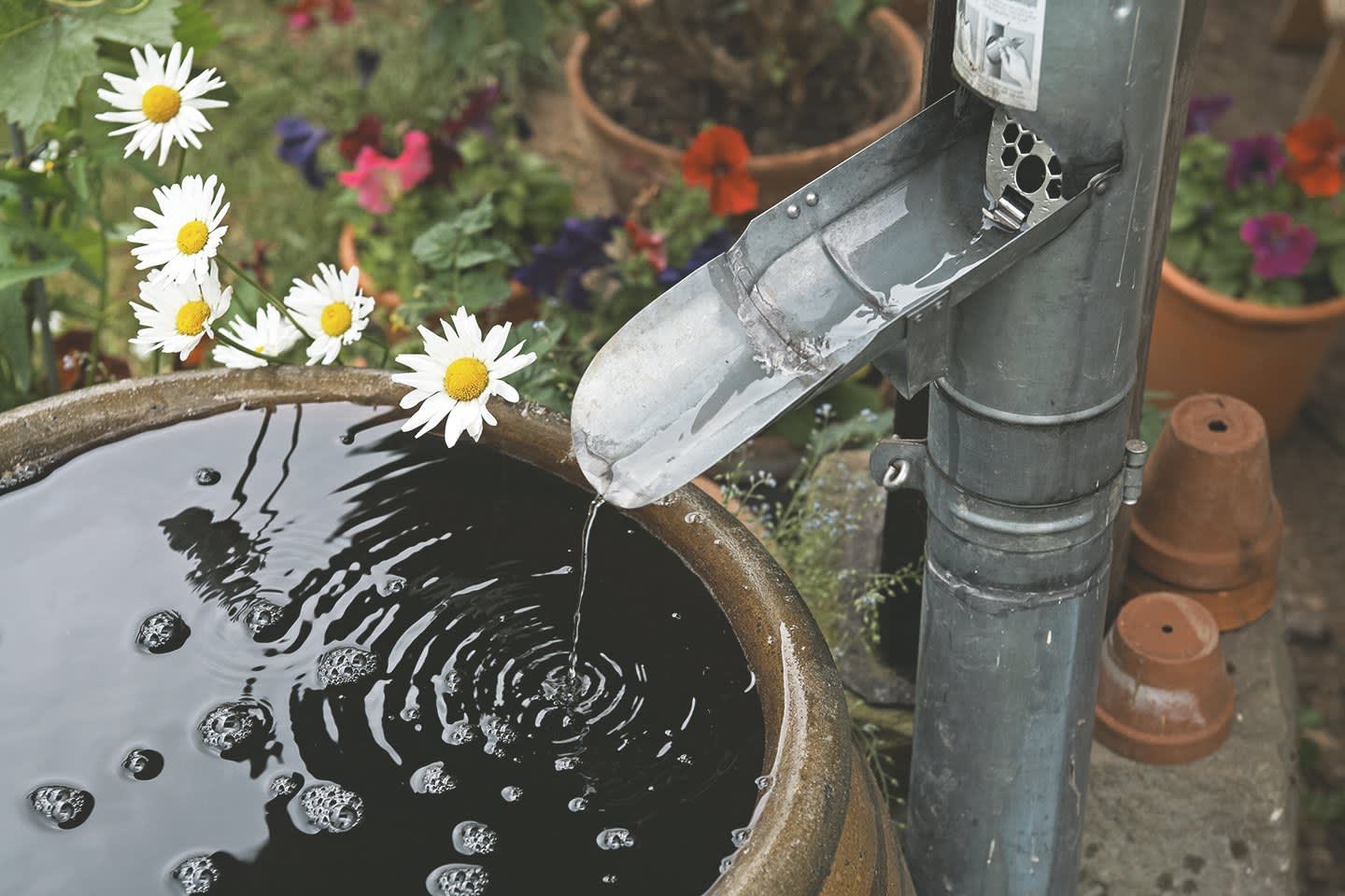 Regenrinne führt in gefüllte Regentonne im Garten