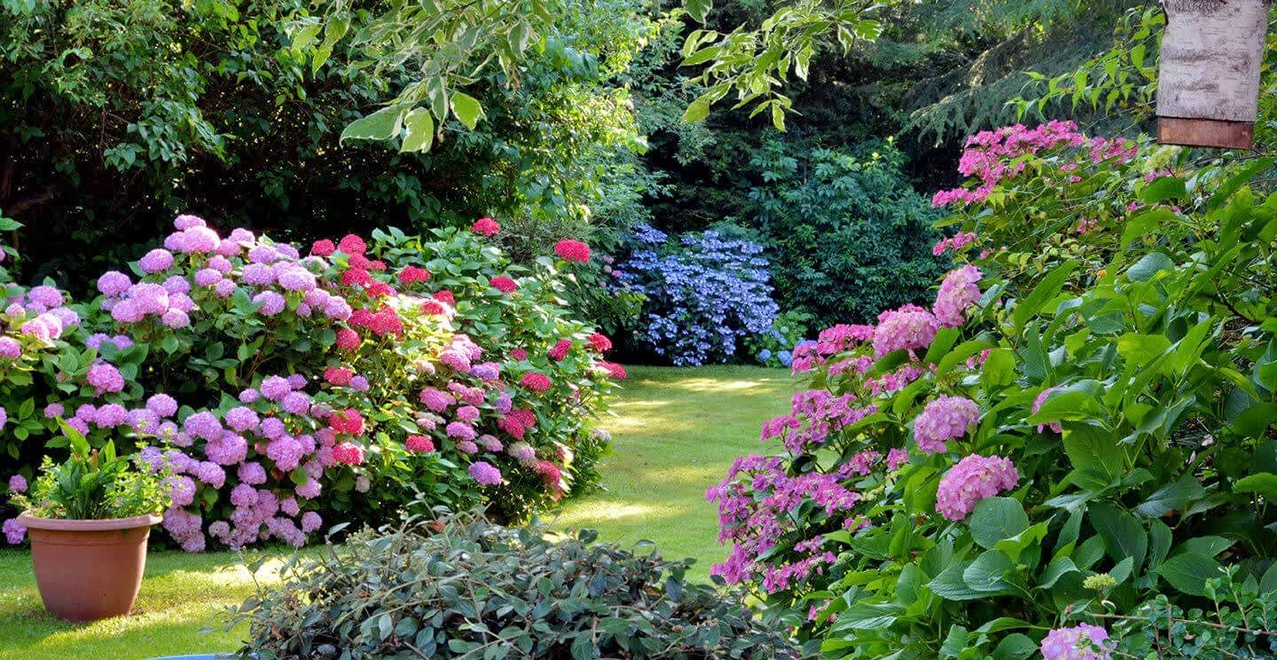 Garten mit bunt blühenden Sträuchern