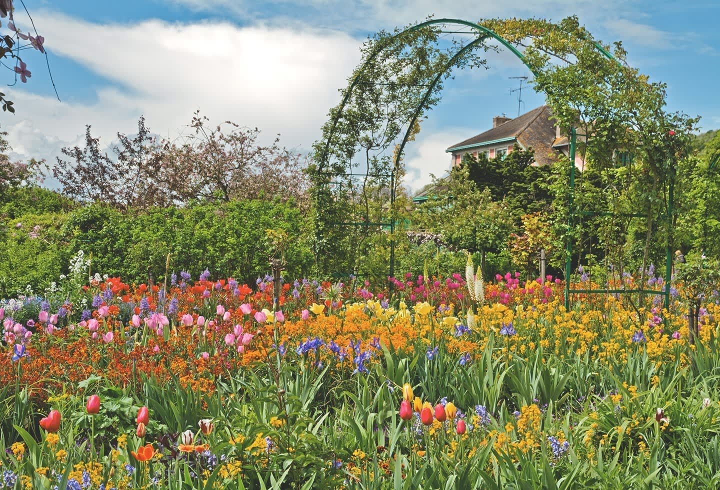 Gartentipps Juni