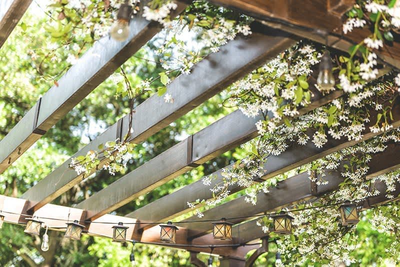 Pergola aus Holz mit festen Lamellen und einer Bepflanzung