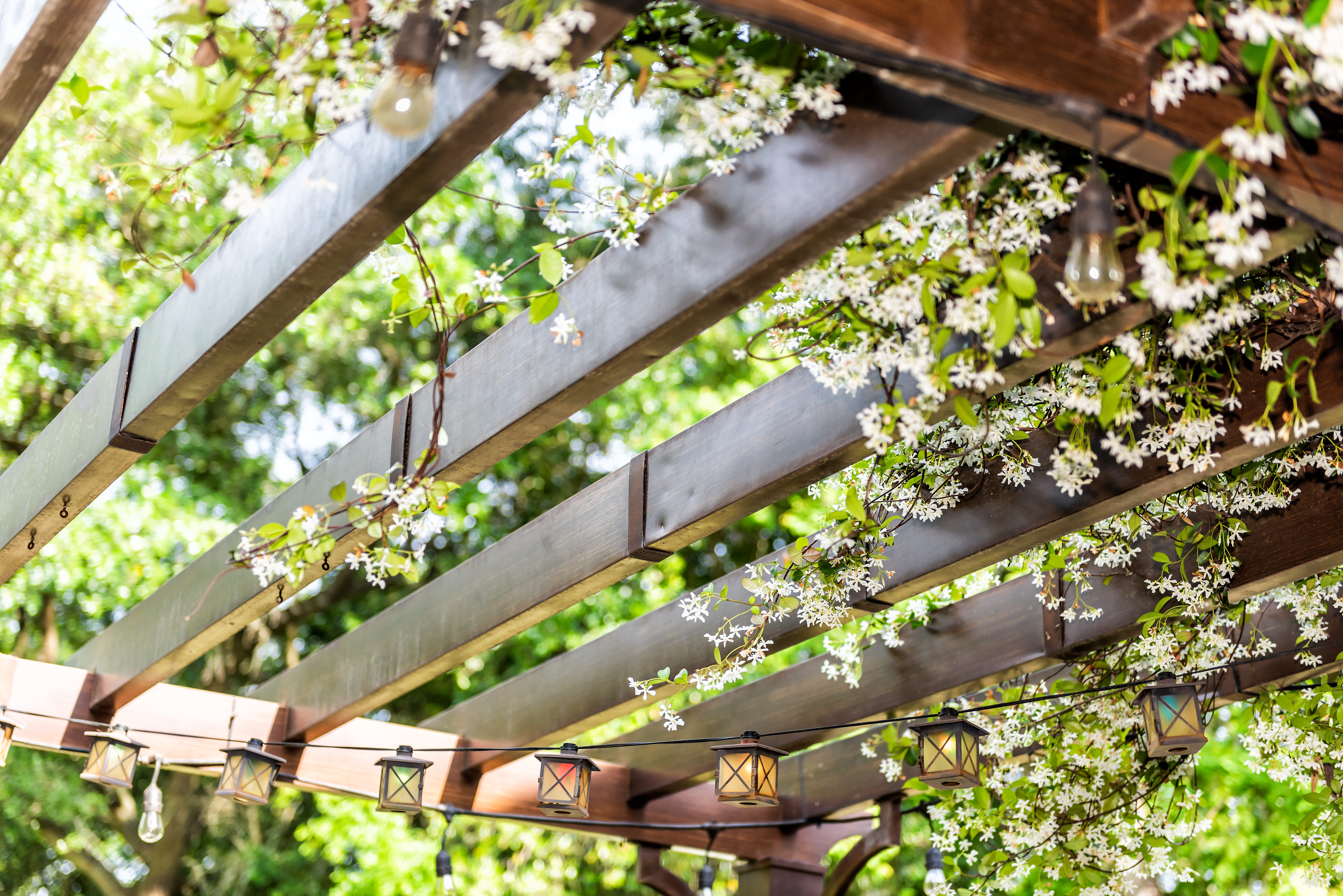 Pergola aus Holz mit blühenden Rankpflanzen