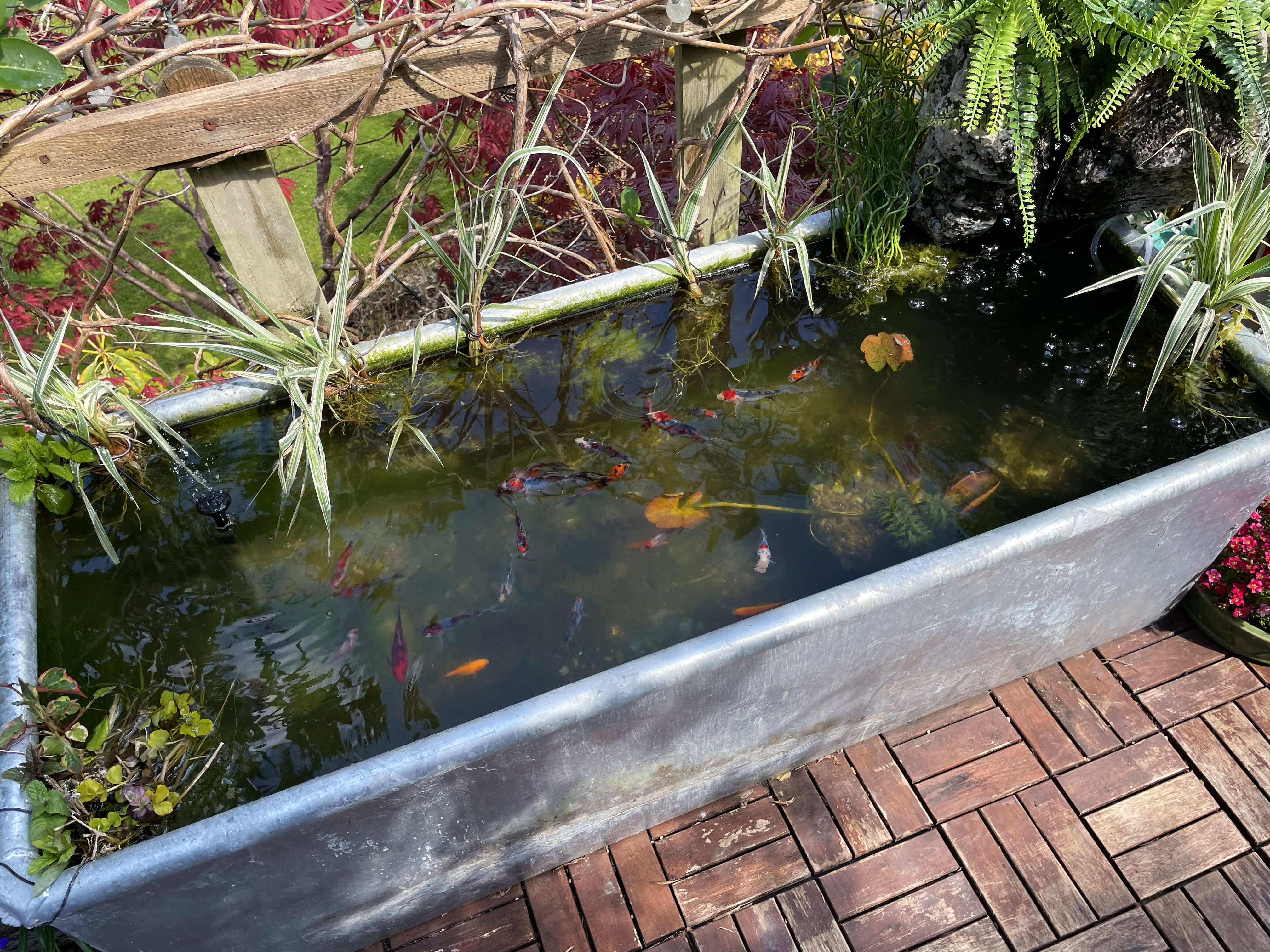 Ein kleiner Teich  oder ein Wasserspiel auf dem Balkon sorgt für Entspannung.