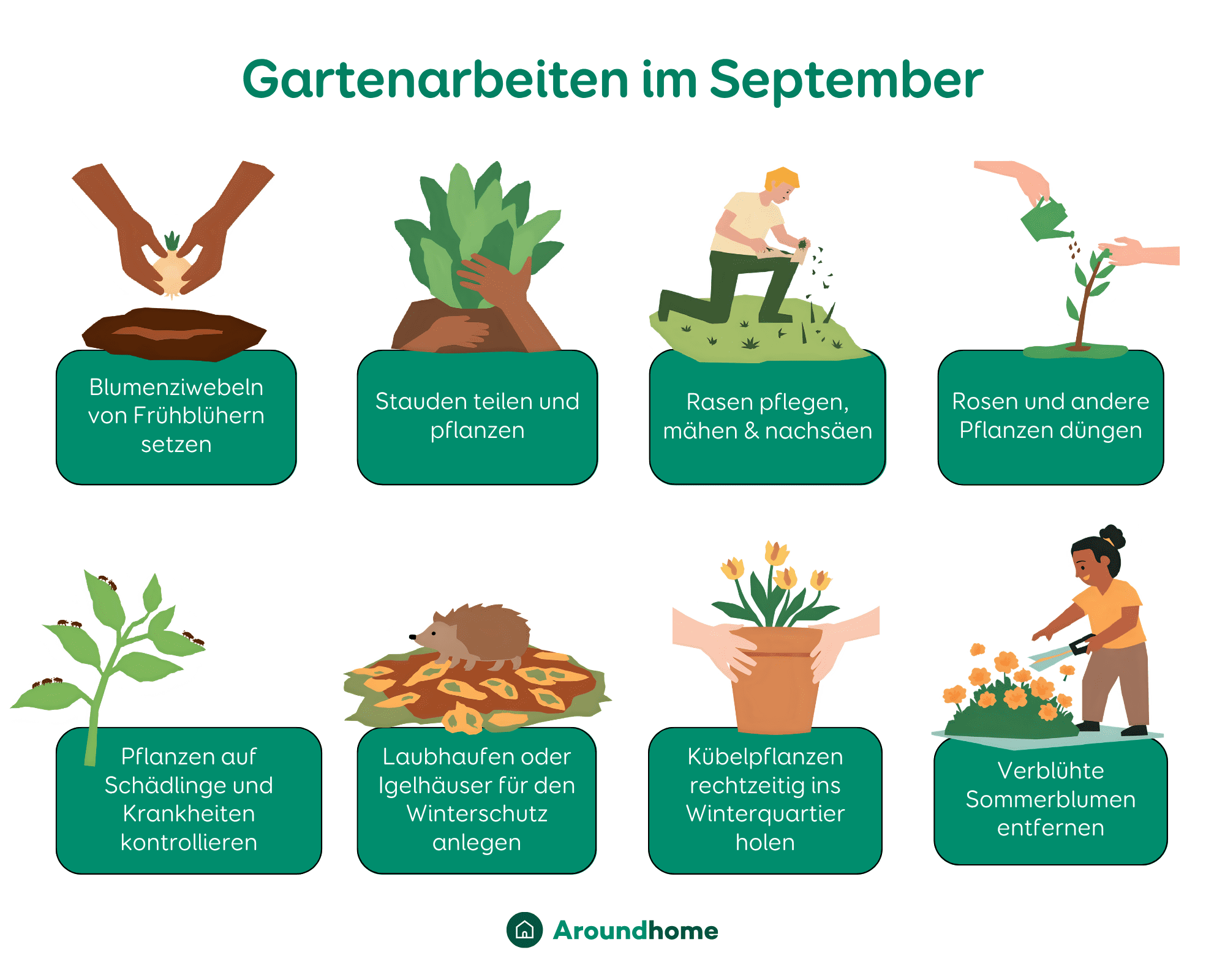 Grafische Darstellung von Gartenarbeiten im September