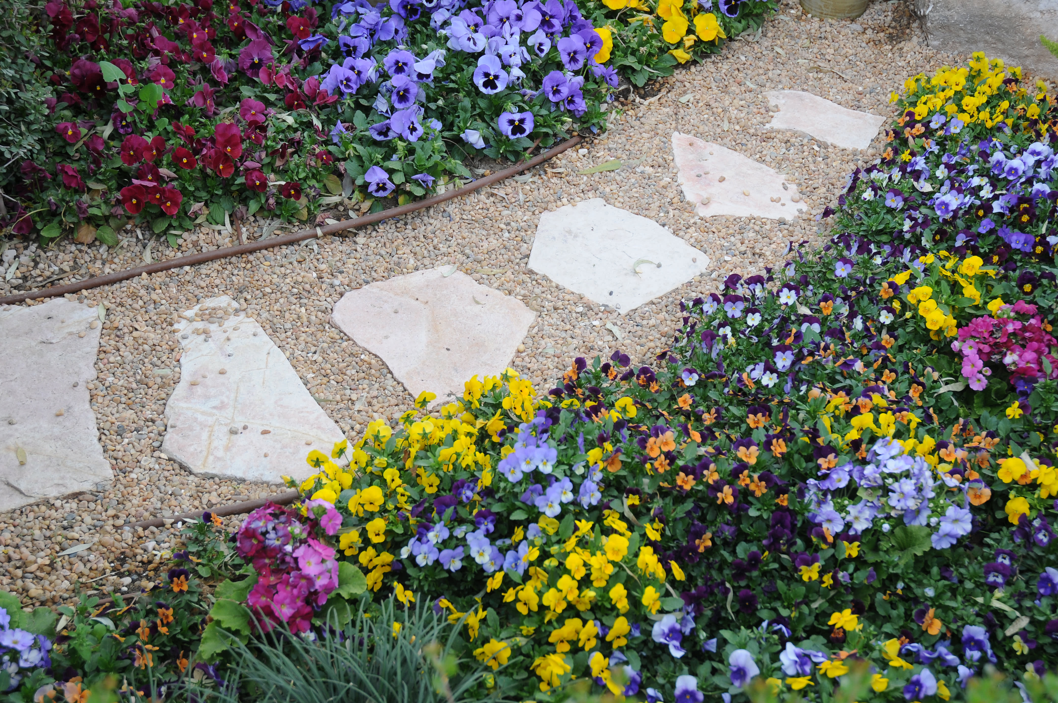 Schöner Gartenweg Inspiration, Gartenweg anlegen, GALA Planung mit Aroundhome