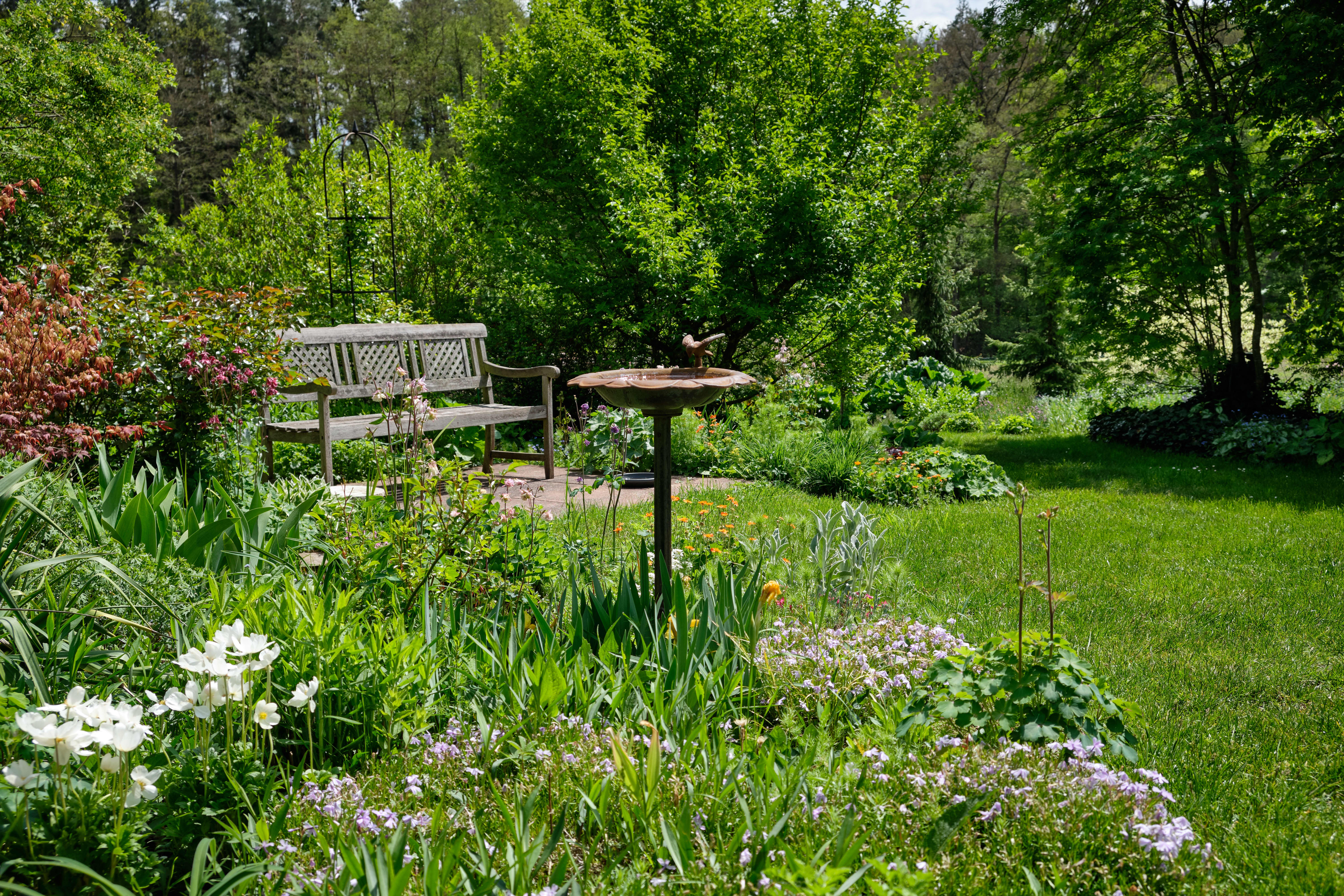 Garten mit vielen Blumen, Sträuchern und Bäumen.