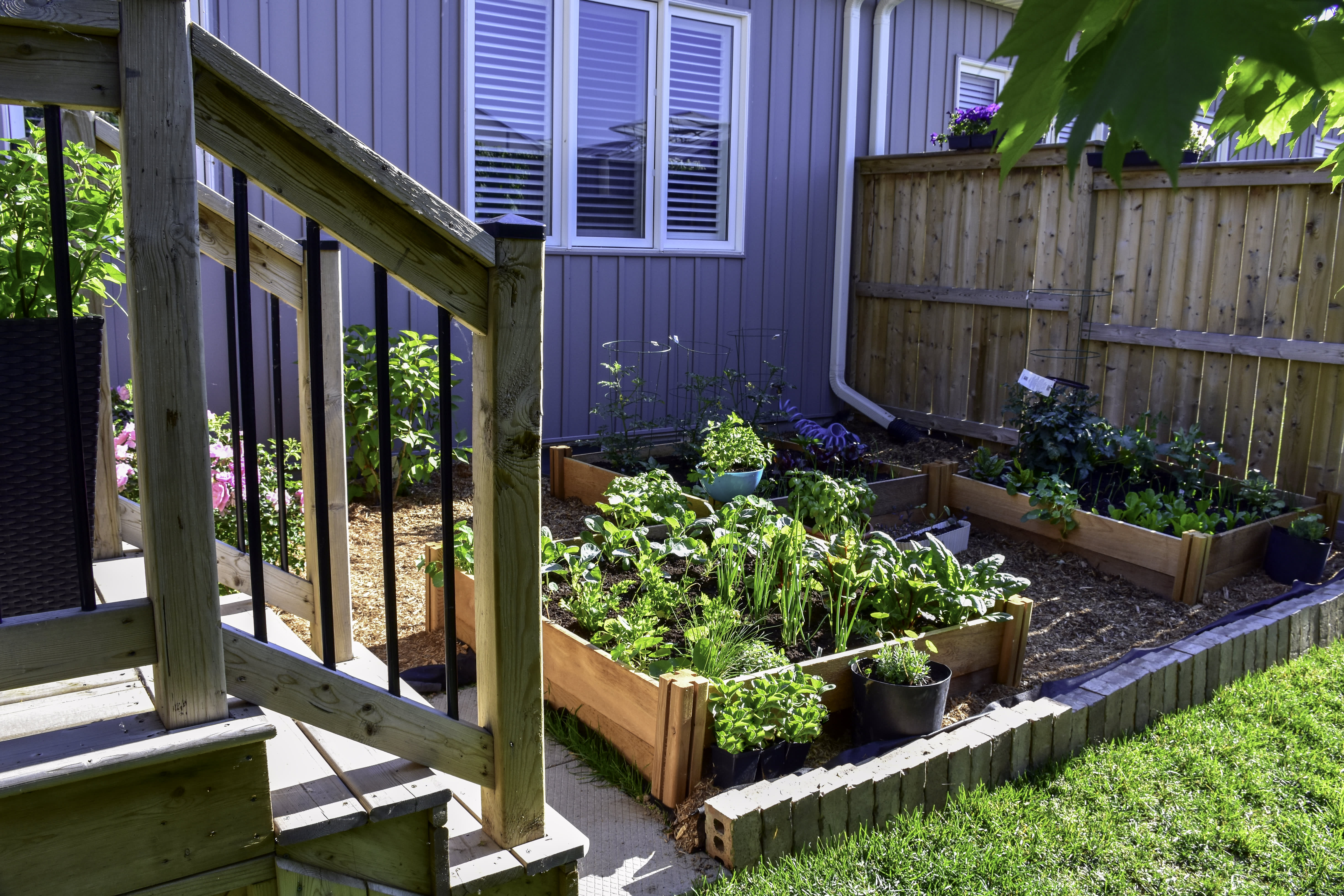 Kleiner Garten mit Beeten