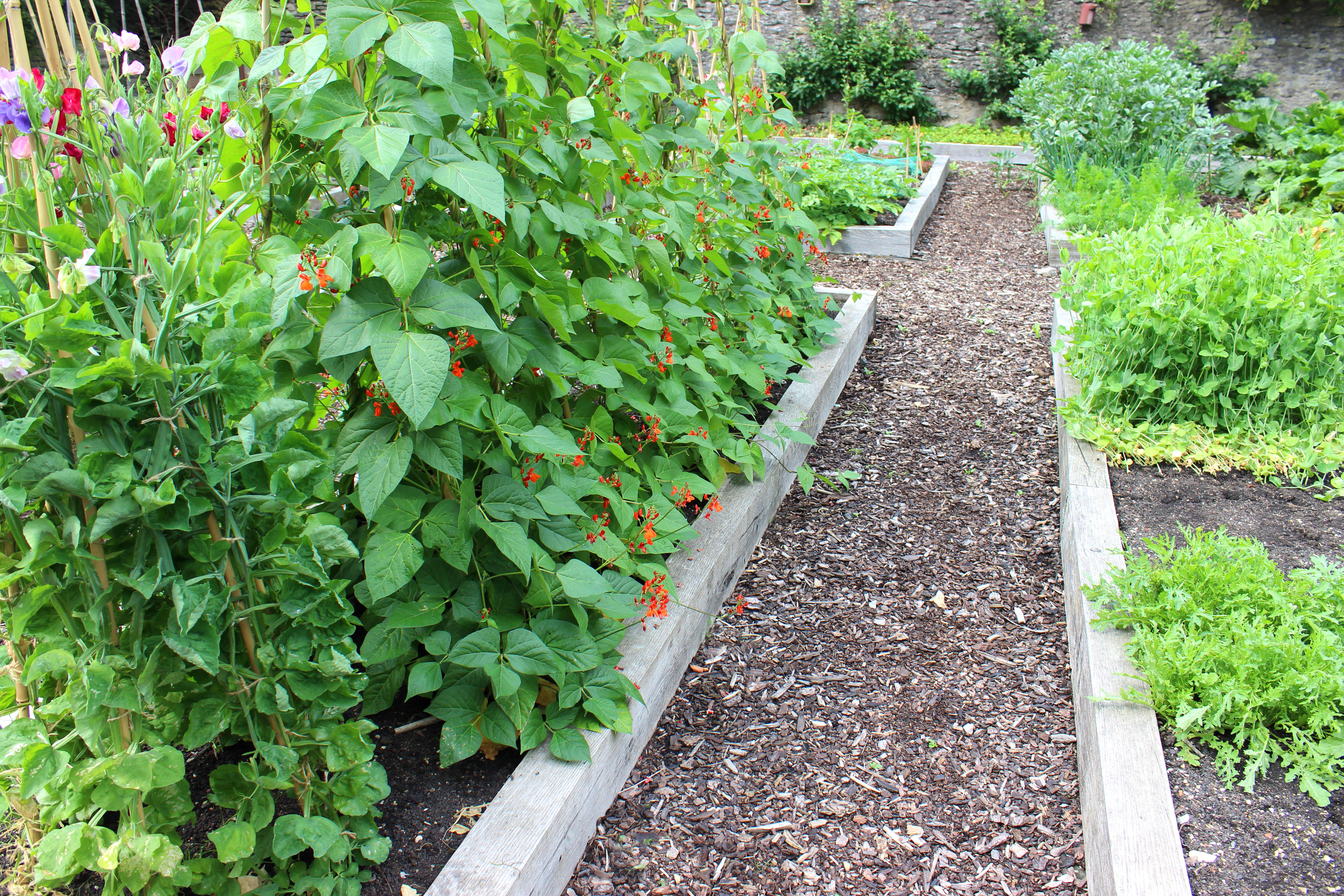 Beete mit Gehweg aus Rindenmulch