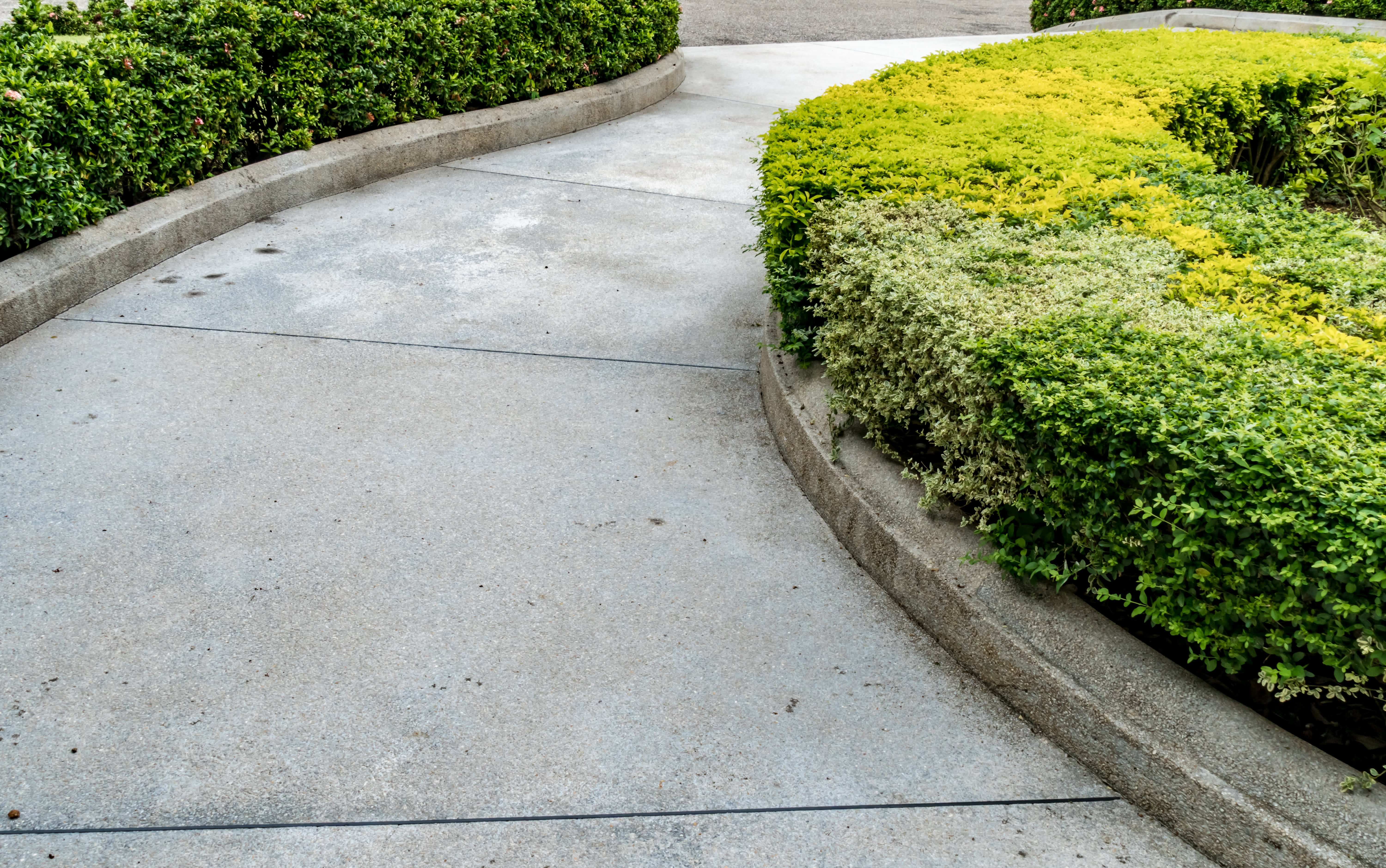 Gartenweg auf Beton mit kleiner Hecke