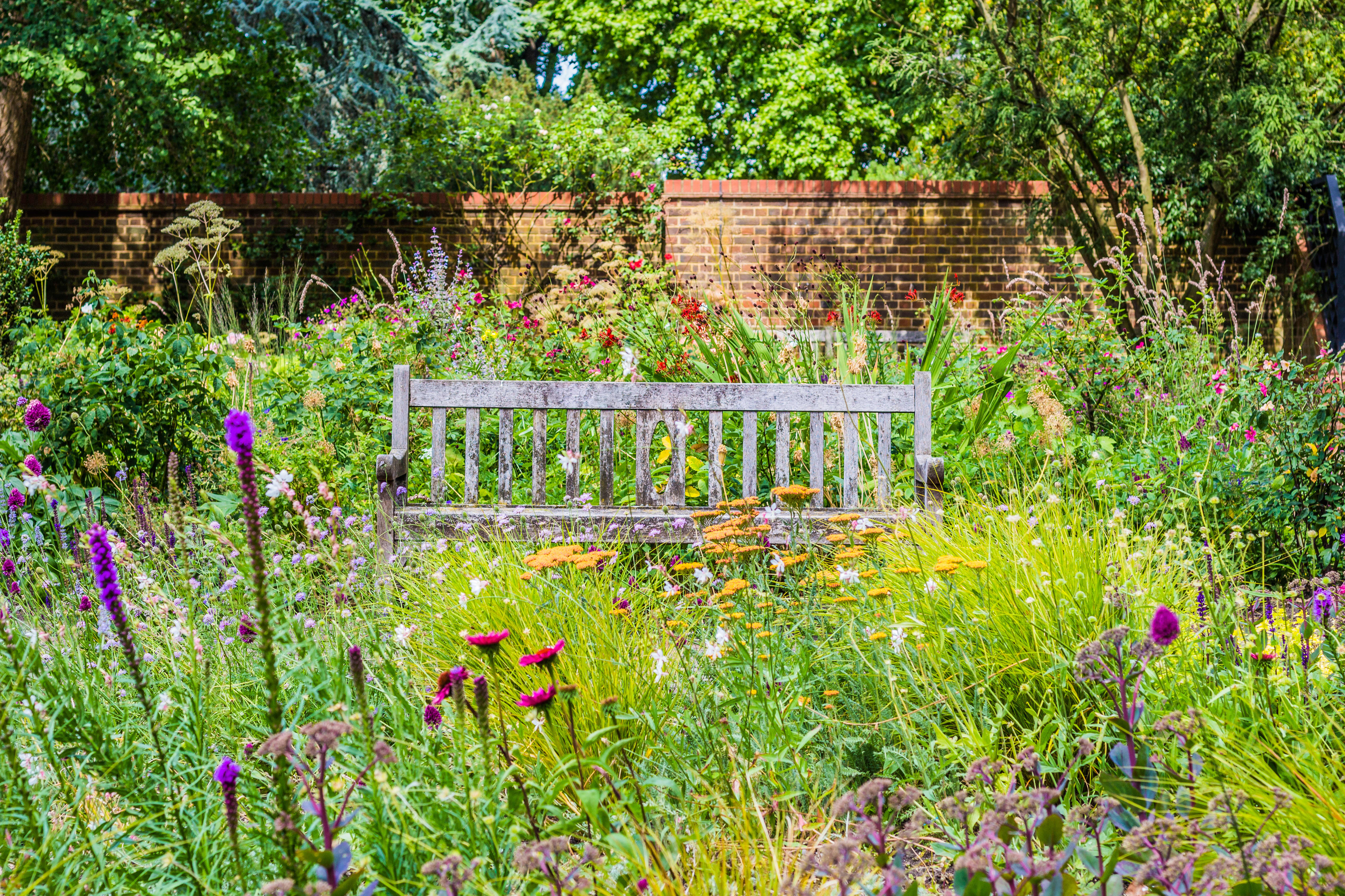 Garten mit vielen Blumen und Sträuchern.