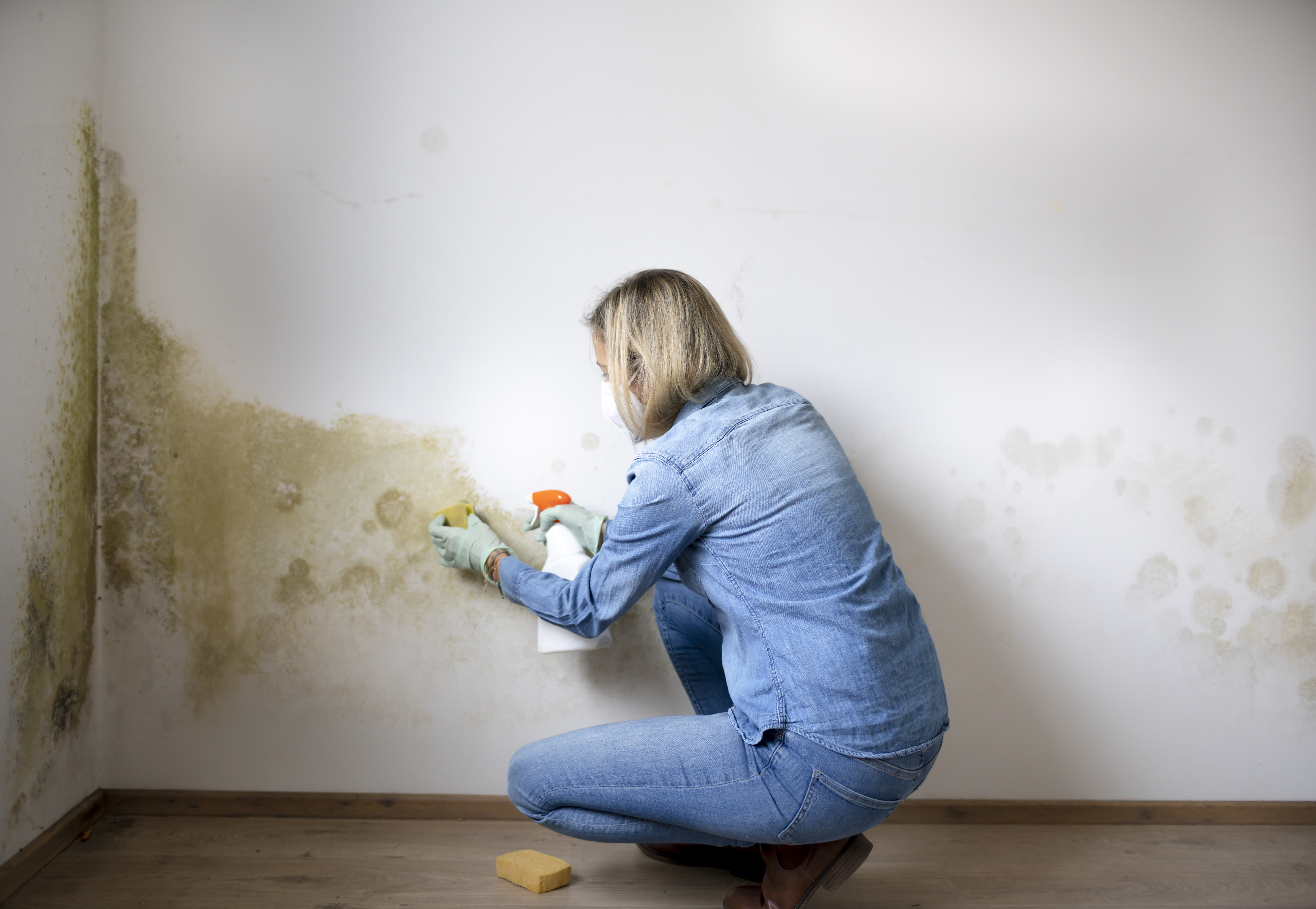 Eine Frau entfernt zuhause den Schimmel von der Wand.