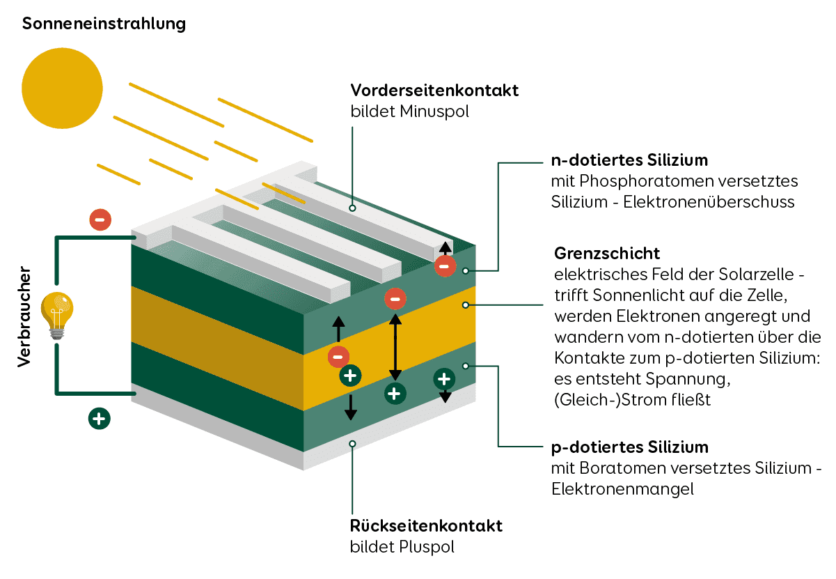Solarzelle Aufbau und Funktion im Querschnitt sieht man den Vorderseitenkontakt mit den beiden Siliziumschichten der Grenzschicht und dem Rückseitenkontakt