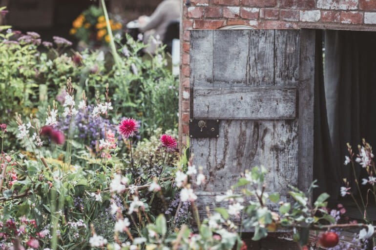 Wild wachsende Blumen in einem Garten mit Gartenhaus aus Backstein, dessen verwitterte Tür offen steht