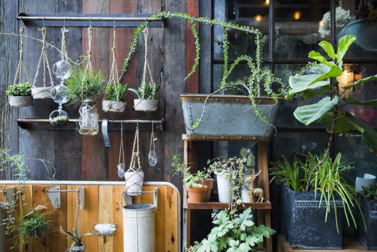 Blumen und Grünpflanzen hängen an der Außenseite eines Gartenhauses mit Holzverkleidung und bilden einen Wandgarten