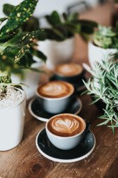 Kaffee mit Pflanzen