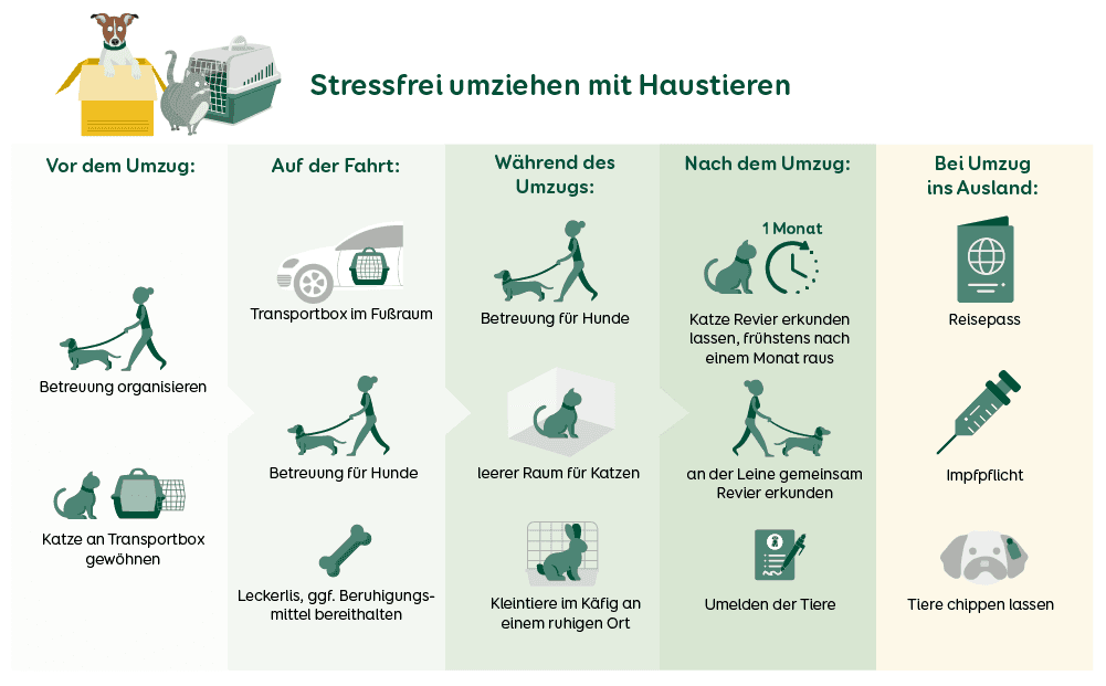 Grafik der wichtigsten Punkte beim Umzug mit Haustieren 