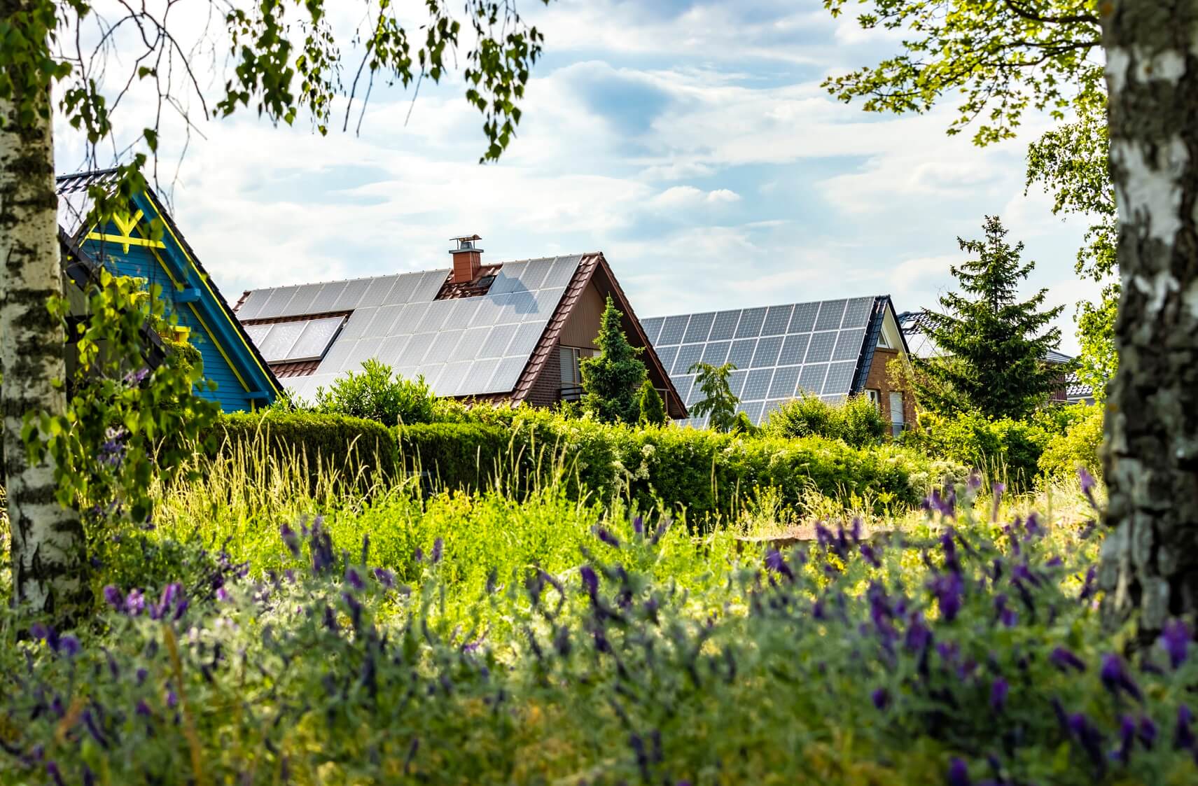 Mehrere Wohnhäuser mit Dächern, auf denen Solaranlagen installiert sind, mit grüner Wiese und Bäumen im Vordergrund unter blauem, leicht bewölktem Himmel
