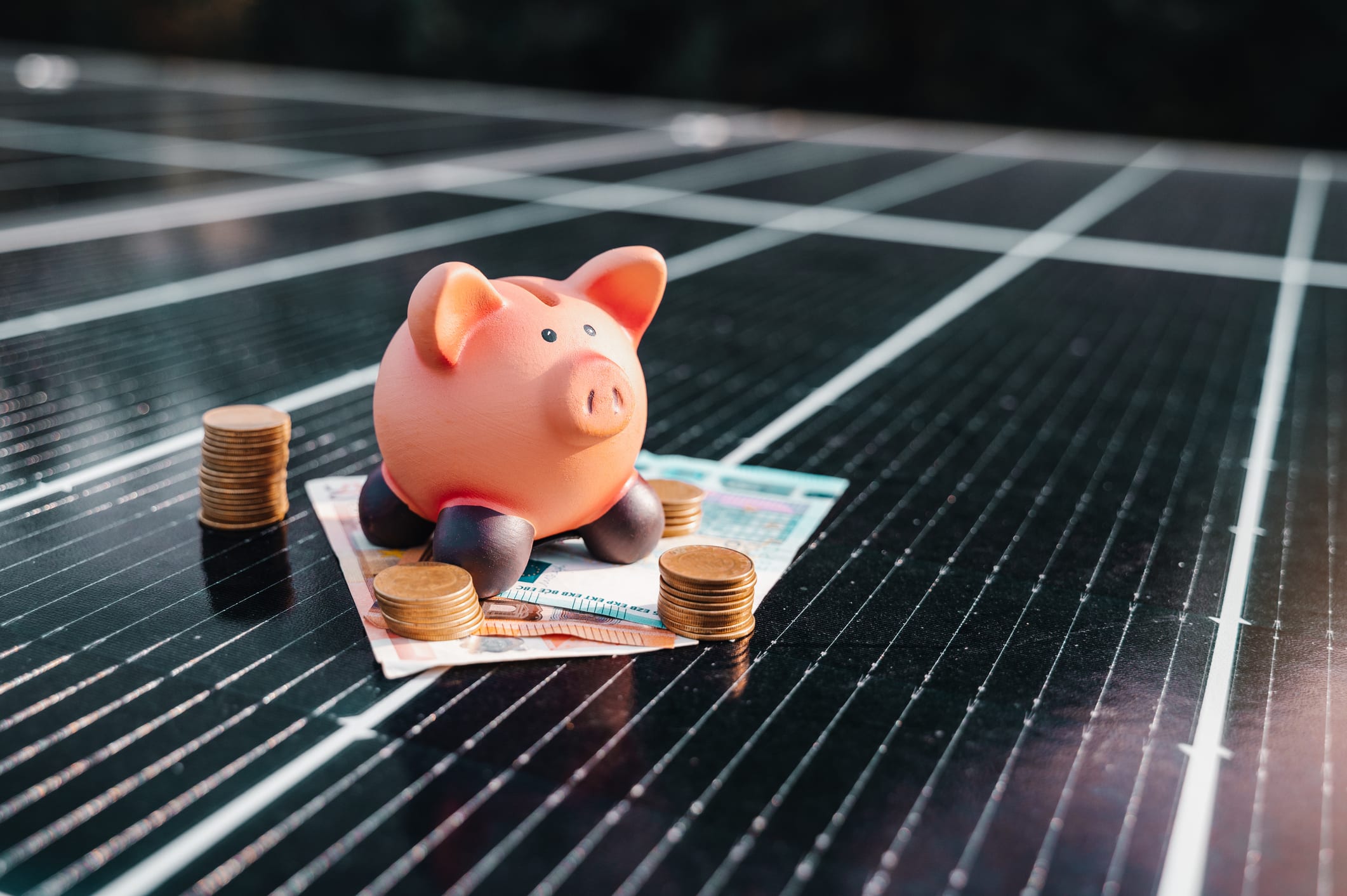 Ein Sparschwein mit Geld auf einer Solaranlage.